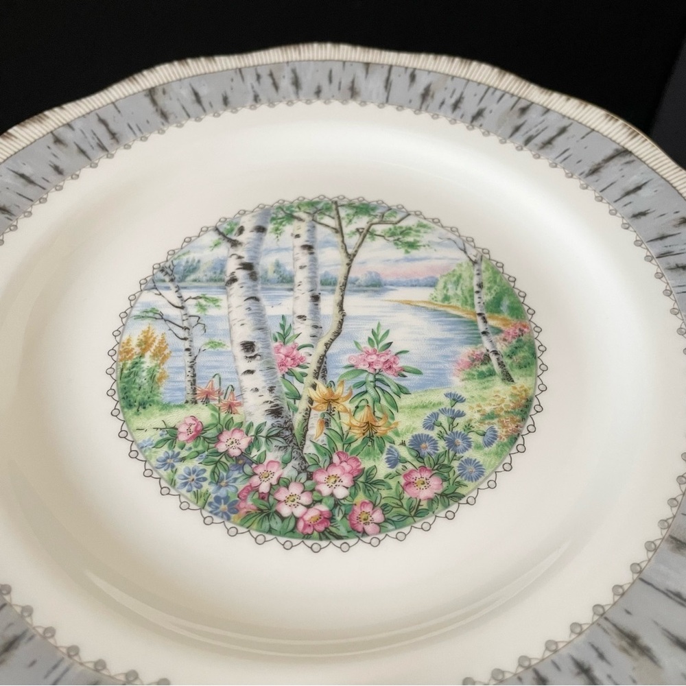 SET of 6 Silver Birch Salad or Dessert Plates by Royal Albert - Picture 6 of 6